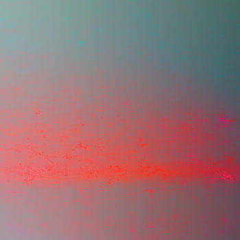 PREDAWN