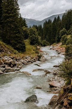 A wildly flowing mountain stream with boulders and trees by Colinda Riemens
