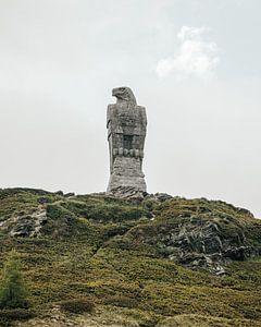Standbeeld van een adelaar in de italiaanse bergen