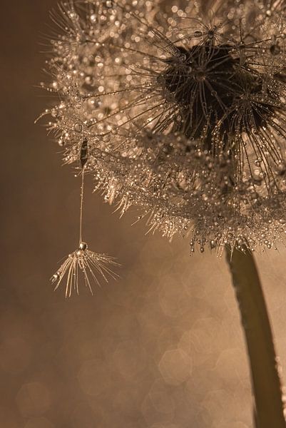 The farewell: time to go! by Marjolijn van den Berg