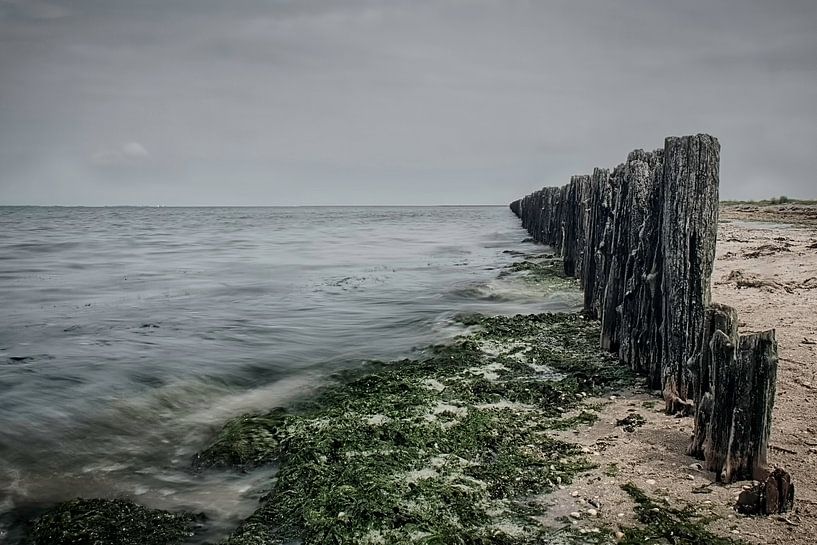 Waddenzee #3 von Ruud van Oeffelen-Brosens
