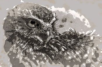 holenuil in bruintinten