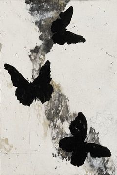 Drei Schmetterlinge im Flug von Chromatic Storm Studio