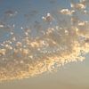 Soft clouds at sunset 5 by Adriana Mueller