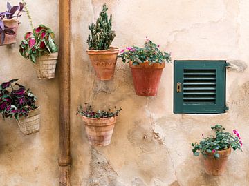 Bloempotten tegen de muur in Valldemossa