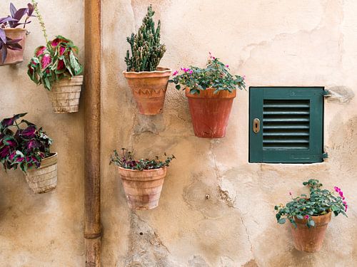 Bloempotten tegen de muur in Valldemossa