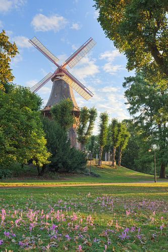 Mühle am Wall in Bremen