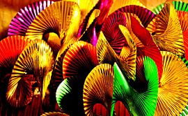 feestkleuren van joyce kool