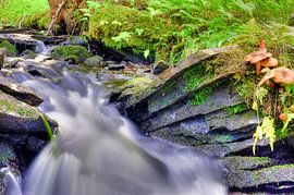 gnome next to waterfall by Patrick vdf. van der Heijden