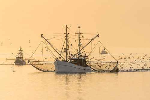 Vissersboot op de Noordzee