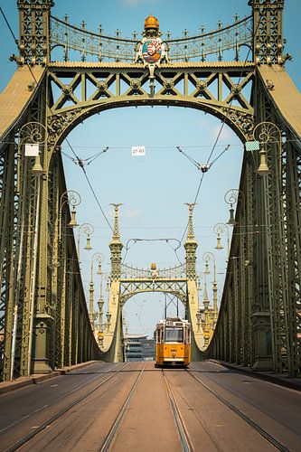 Freiheitsbrücke Budapest (Szabadsag versteckt)
