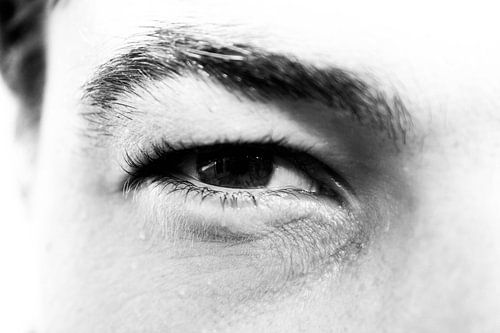 Het Oog