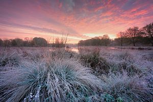 Lever de soleil et paysage de polders néerlandais sur Original Mostert Photography