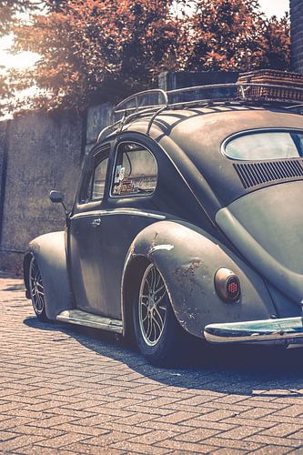 Volkswagen Beetle 1956, voiture de collection