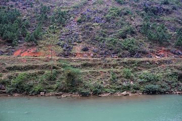 Koeien langs de prachtig blauwe rivier in Ha Giang van Anne Zwagers