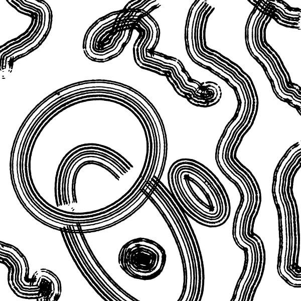 Circle snake noir et blanc par nachtfarbenart