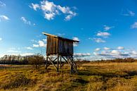 Wandeling door de prachtige Hainich Vallei van Oliver Hlavaty thumbnail