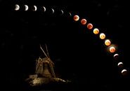 Eclips of the Red Moon, Wolf Moon. by Gert Hilbink thumbnail