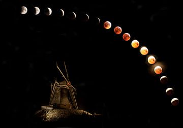 Eclips of the Red Moon, Wolf Moon. by Gert Hilbink