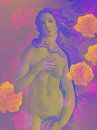 De geboorte van Venus, naar het werk van Sandro Botticelli - Pop Art van MadameRuiz thumbnail