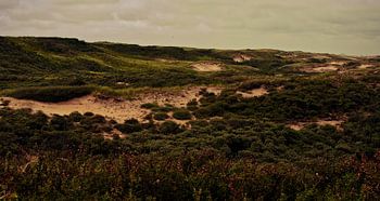Avec du sable entre les orteils