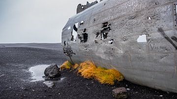 Flugzeugwrack Island von Tim Briers