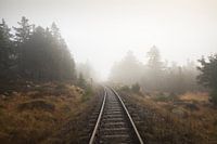 Nebel