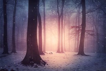 Zauberwald im Winter von Dirk Wüstenhagen