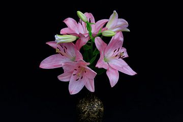 Lilies by Thomas Jäger