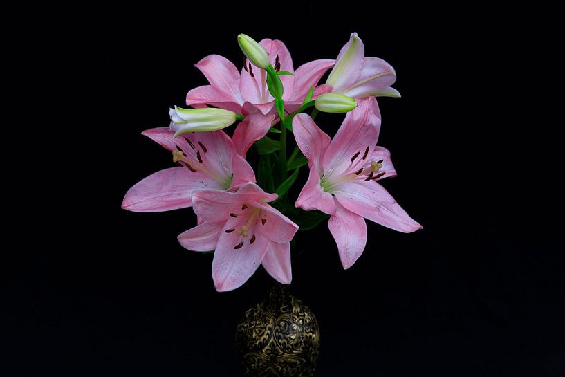 Lilien von Thomas Jäger