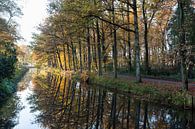 Herbst Landschaftsbäume entlang des Grabens bei tiefstehender Sonne von Ger Beekes Miniaturansicht