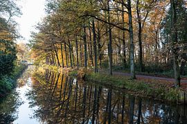 Autumn Landscape trees along moat at low standing sun by Ger Beekes