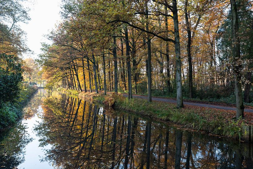 Herbst Landschaftsbäume entlang des Grabens bei tiefstehender Sonne von Ger Beekes