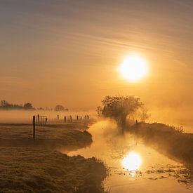 Mystieke ochtend in de polder van Johan Landman