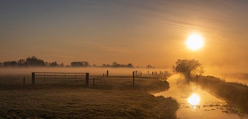 Mystischer Morgen im Polder