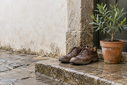 Memories Taking Root