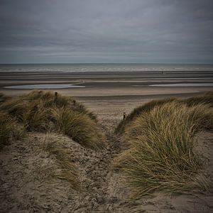 Le sentier des dunes