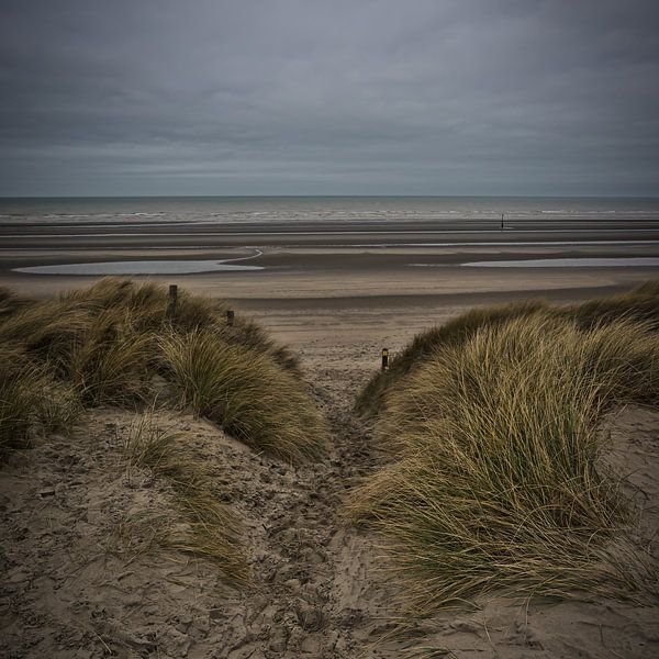 Duinen Nieuwpoort van Rik Verslype