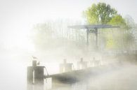 Mist boven het Van Starkenborg Kanaal in Groningen op een mooie voorjaarsochtend in mei van Bas Meelker thumbnail