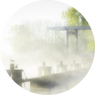 Mist boven het Van Starkenborg Kanaal in Groningen op een mooie voorjaarsochtend in mei van Bas Meelker