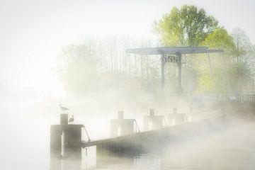 Brouillard au-dessus du canal Van Starkenborg à Groningen par une belle matinée de printemps en mai