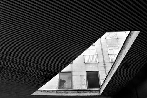 Lots of lines.