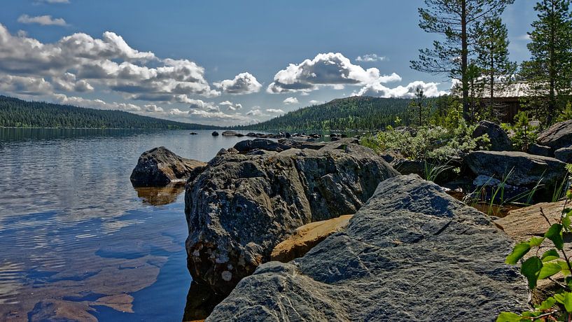 Norwegen. Naturreservat Gutulia. par Michael Schreier