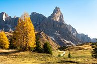 Herfstkleuren op hoogte in de Dolomieten van Rob IJsselstein thumbnail