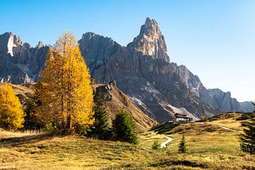 Herbstfarben in der Italienische Dolomiten