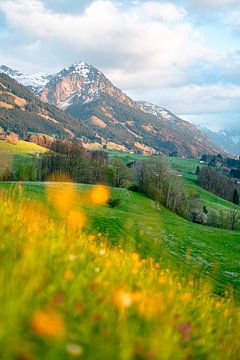 Vue printanière de l'Allgäu sur le Rubihorn sur Leo Schindzielorz