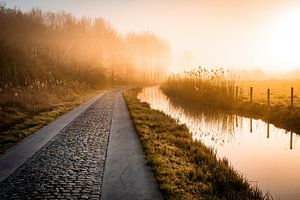 Fußweg im Polder
