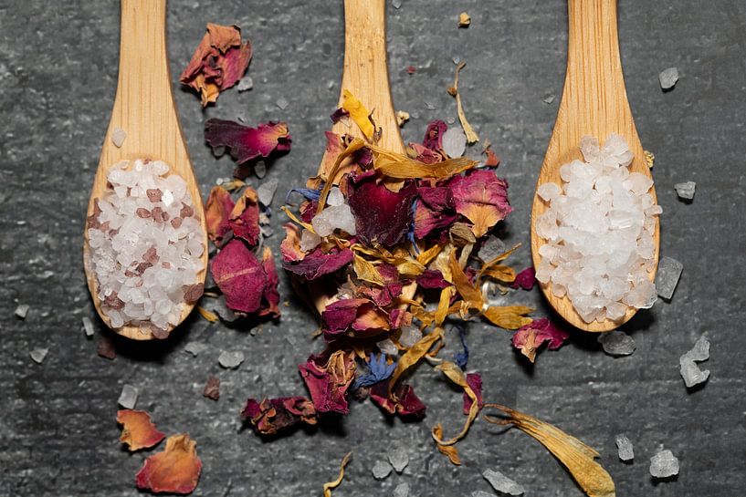 Salz und Blüten von Ulrike Leone