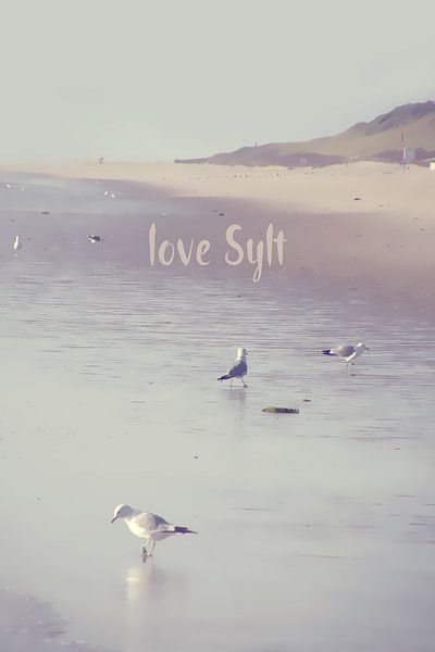 LOVE SYLT I by Pia Schneider