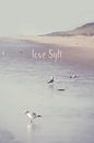 LOVE SYLT I by Pia Schneider thumbnail